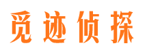 大方市场调查